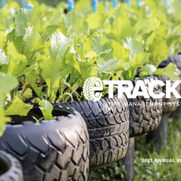 old tires used in garden bed