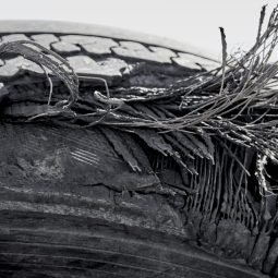 Old tire with layers exposed showing the steel and fibre remnants that are used in tire construction